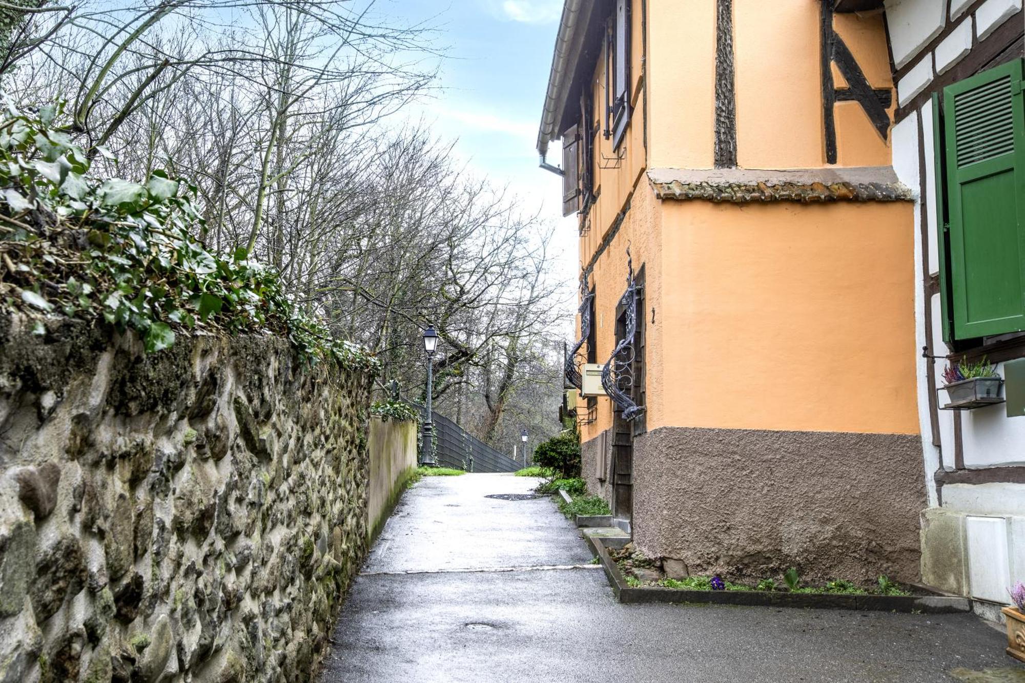 Gite "Rempart Sud" A Ribeauville ภายนอก รูปภาพ
