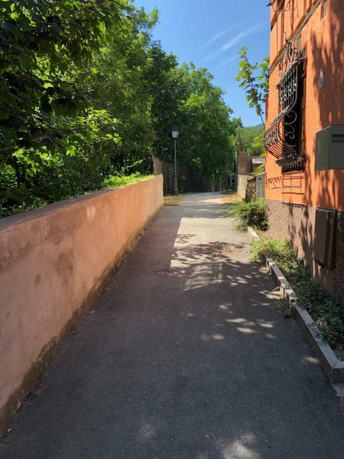 Gite "Rempart Sud" A Ribeauville ภายนอก รูปภาพ
